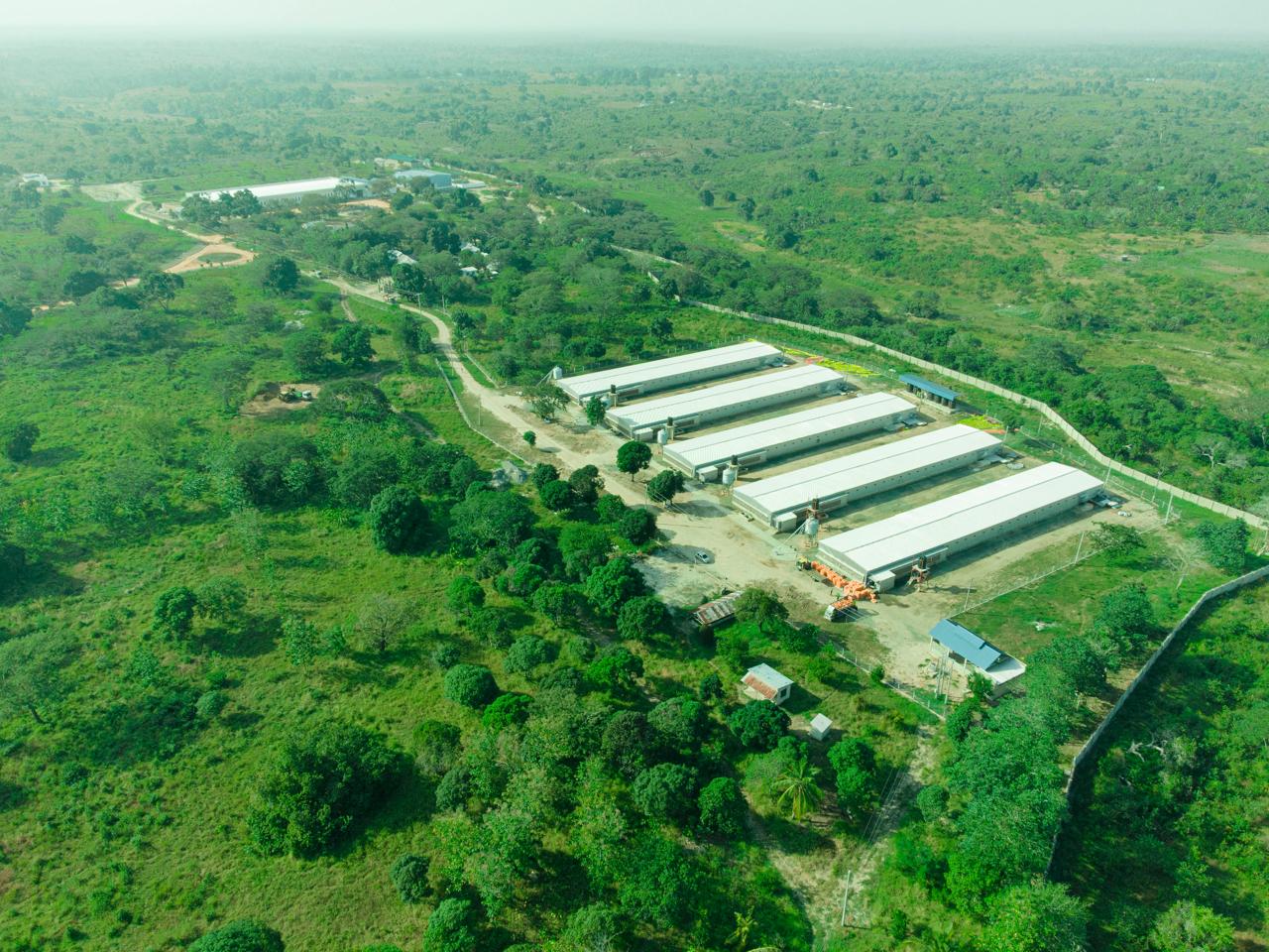 Hill Group's Founder Hillary Shoo Builds Tanzania's First Poultry Processing Plant from Scratch