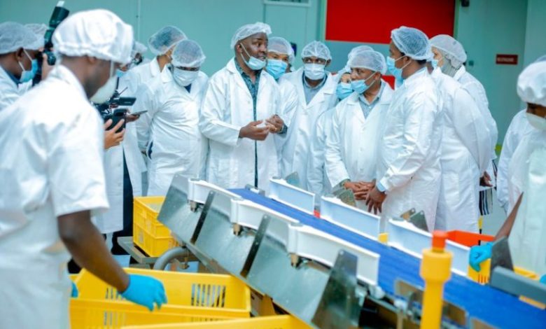 Hill Farm’s 12 Billion Shillings Investment Lauded for Boosting Tanzania’s Agricultural Sector